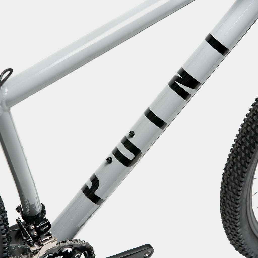 Point 29" Hardtail Mountain Bike