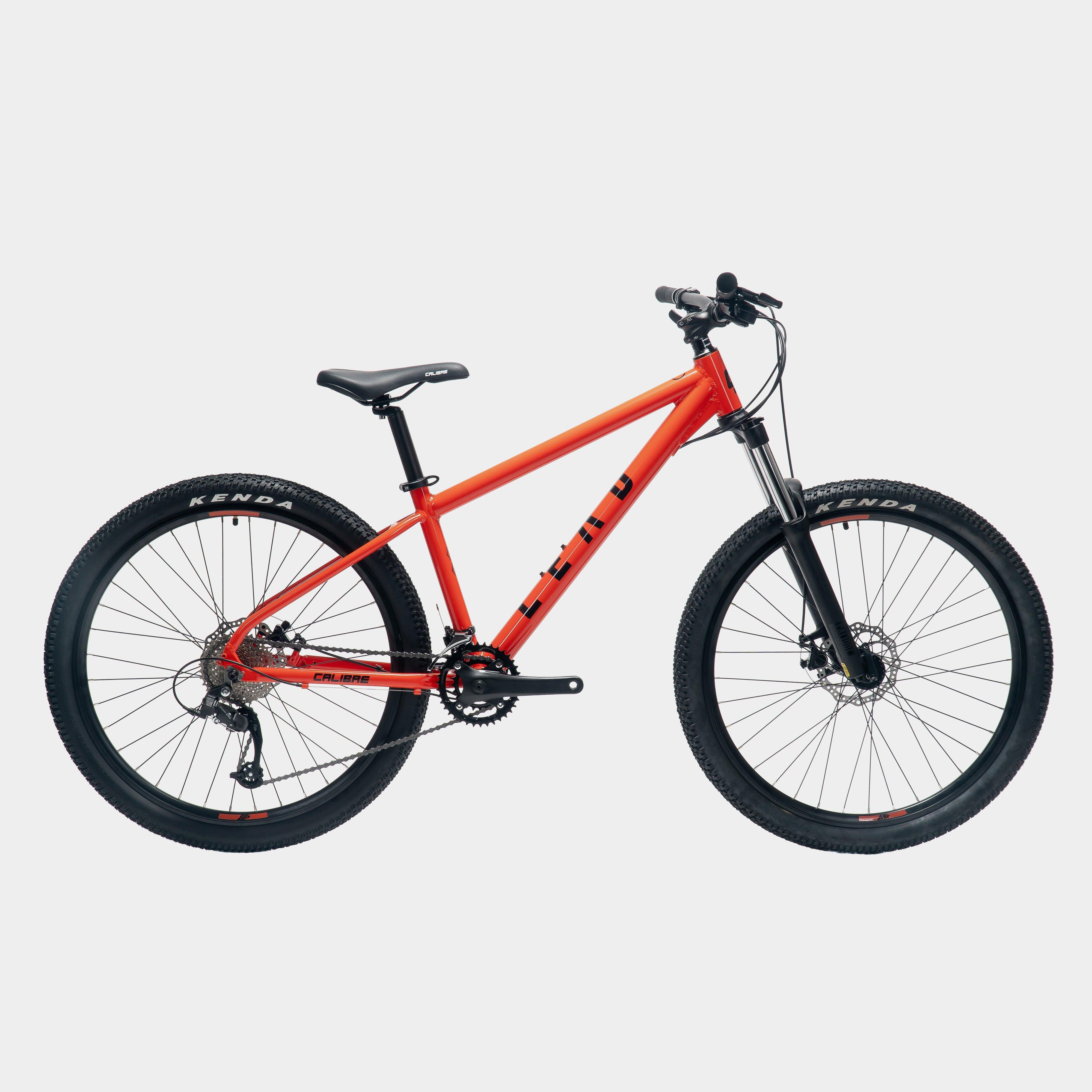 Lead Mountain Bike