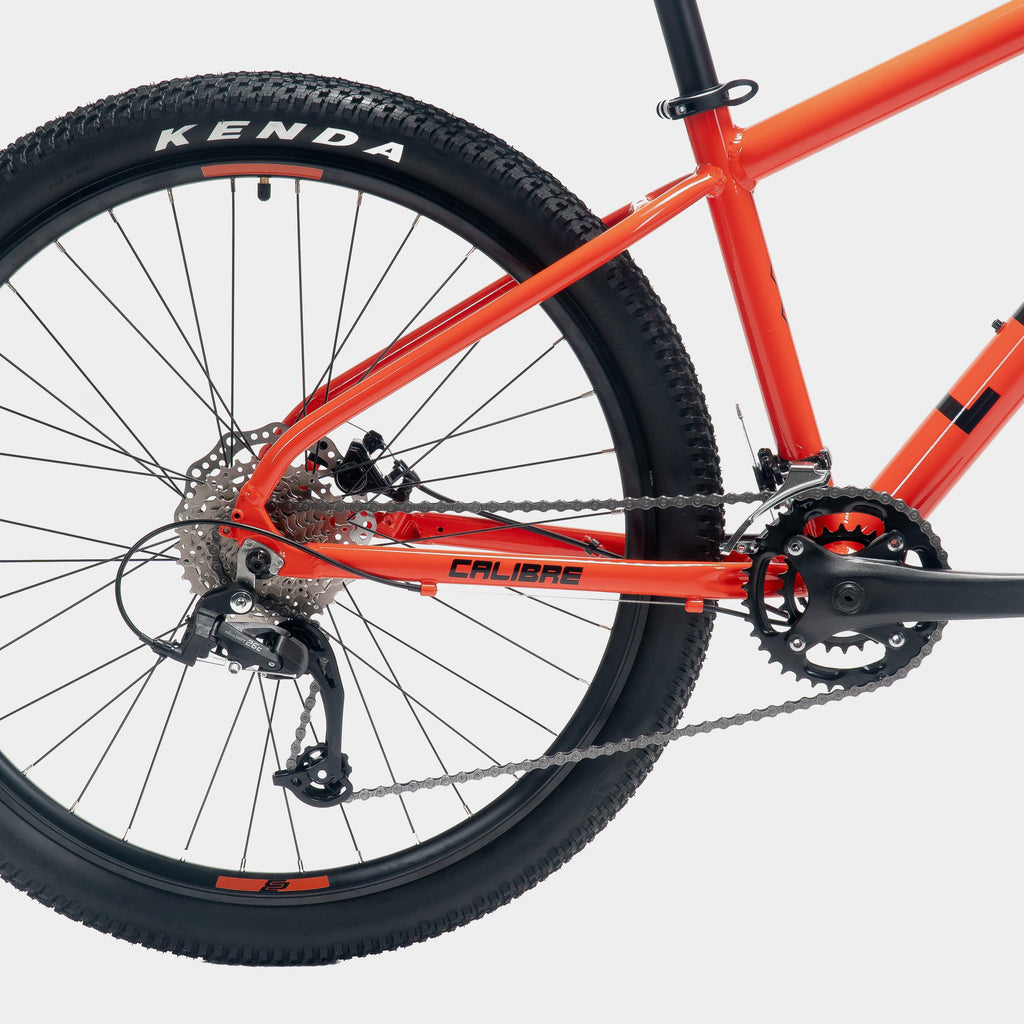 Lead Mountain Bike