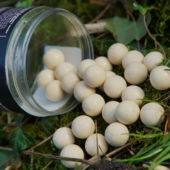 13/14Mm Wht Gaz Farehams Ns1