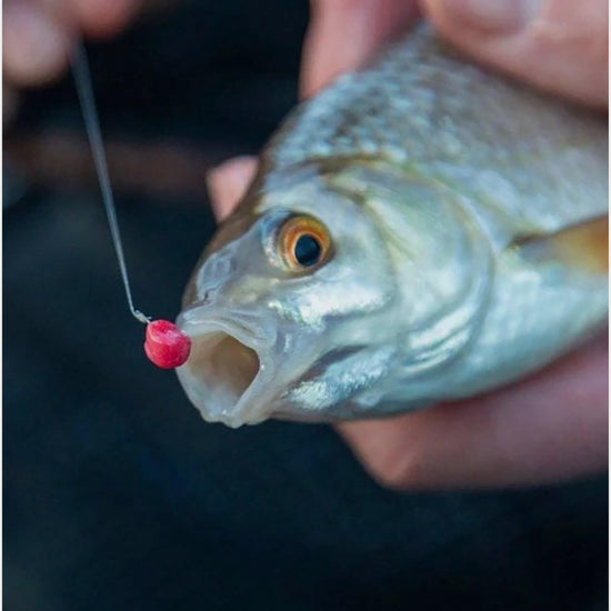 NeeonZ Shapers Fluo Yellow 7mm