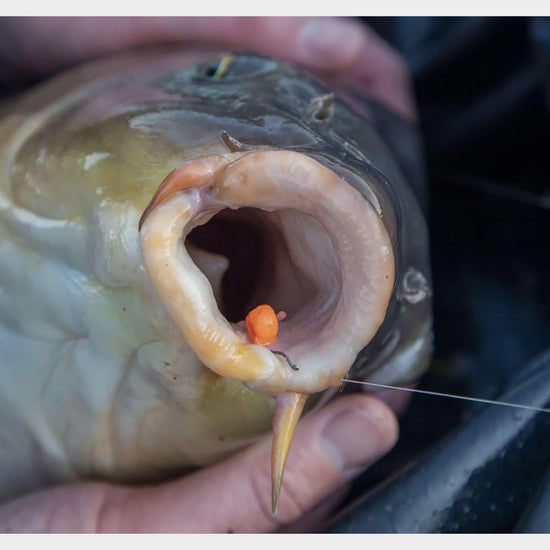 NeeonZ Shapers Fluo Orange 7mm