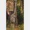 Solar Undercover Camo 12ft Single Rod Sleeve