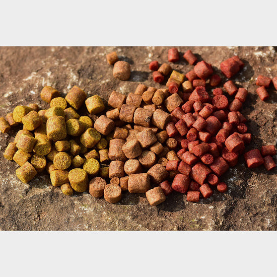 Big Fish River Pellets 4 6 8mm Cheese & Garlic