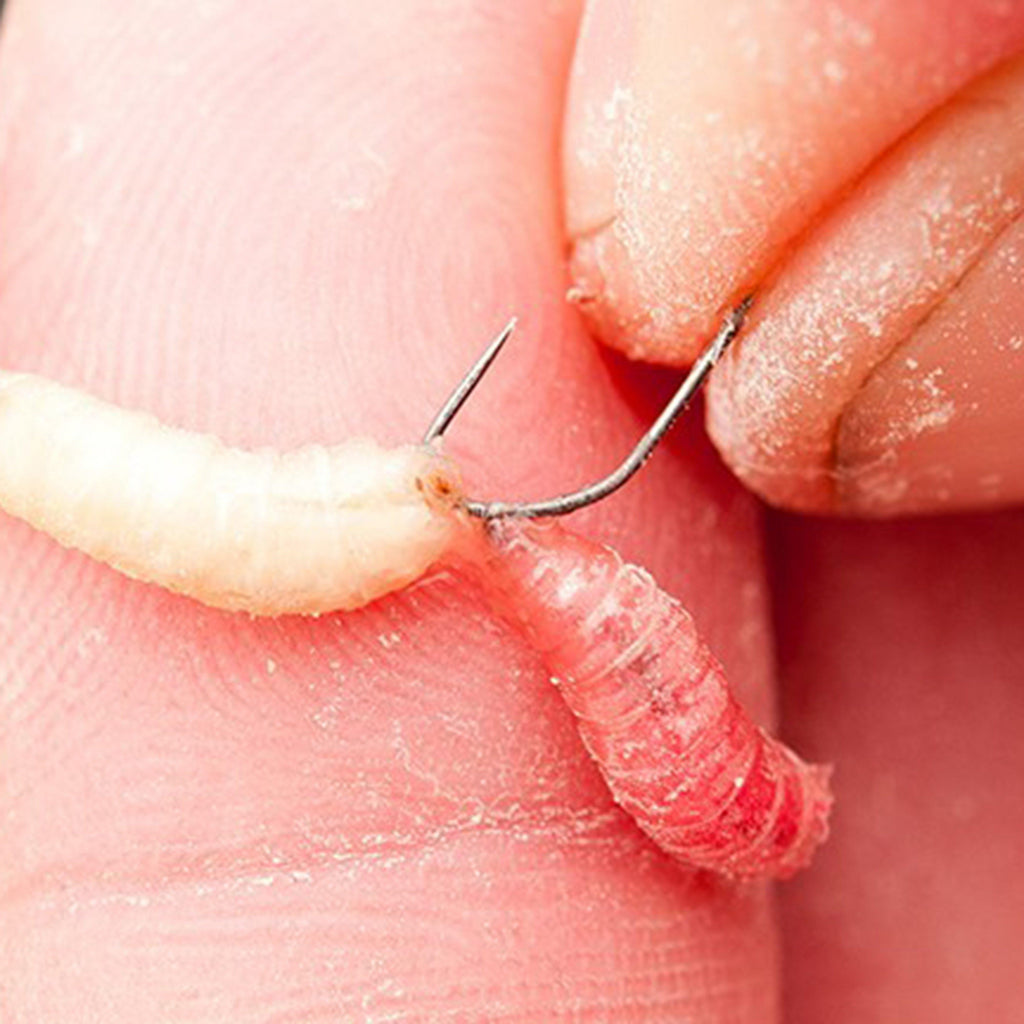 F1 Maggot Hook Size 20