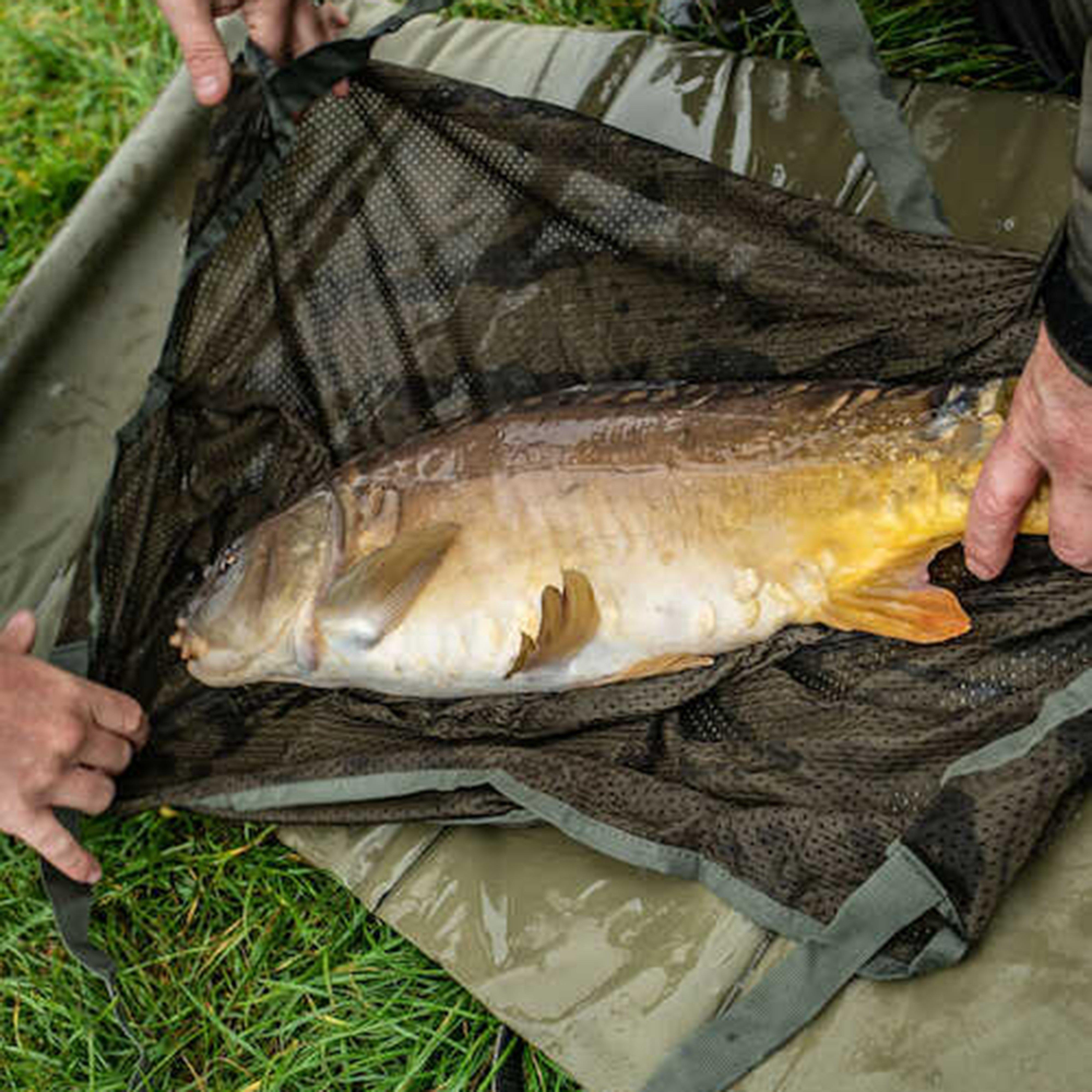 Packa-Weigh Sling