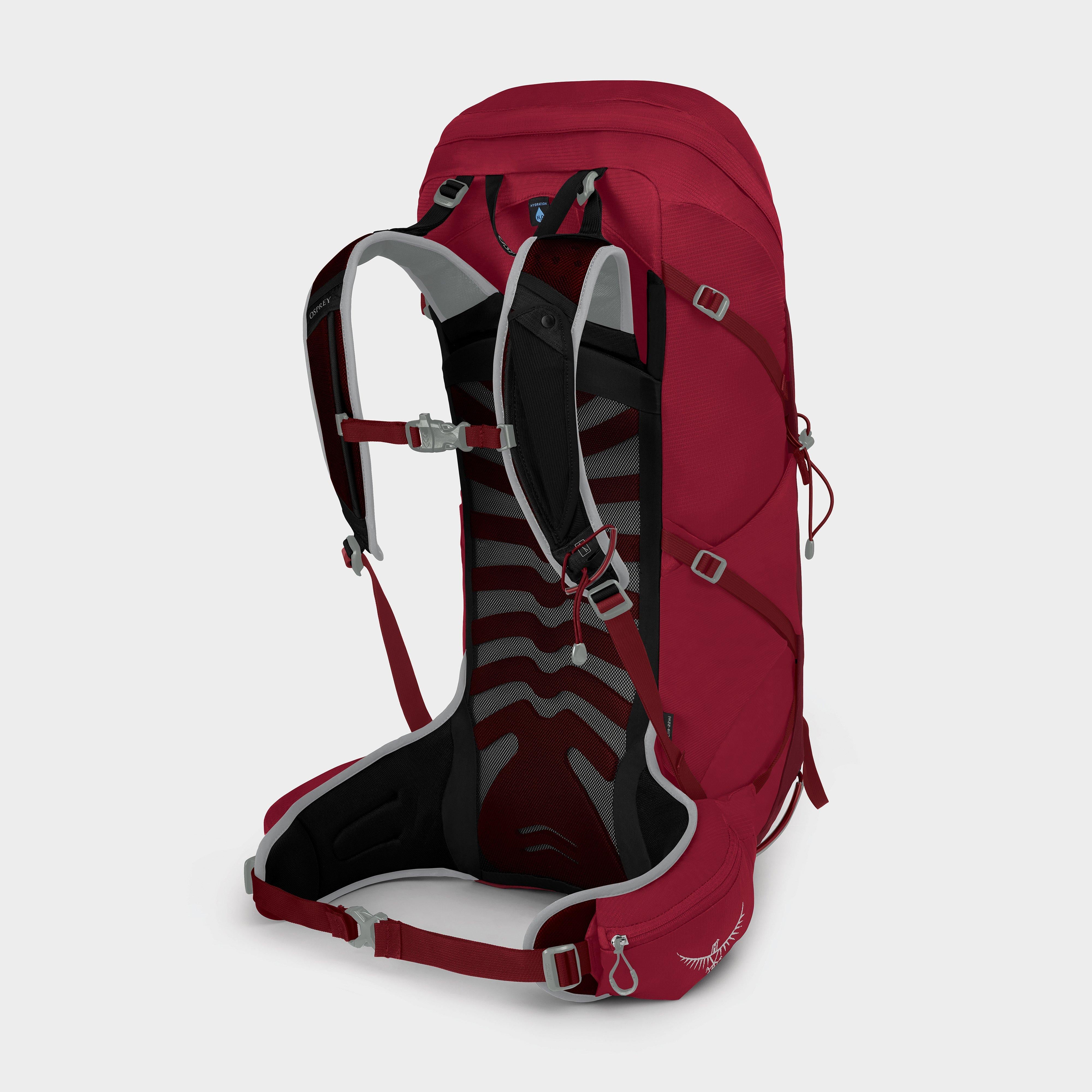 Talon 36 Litre Daypack