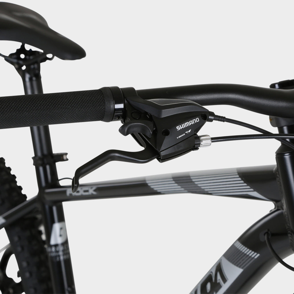 Rock 21-speed Bike