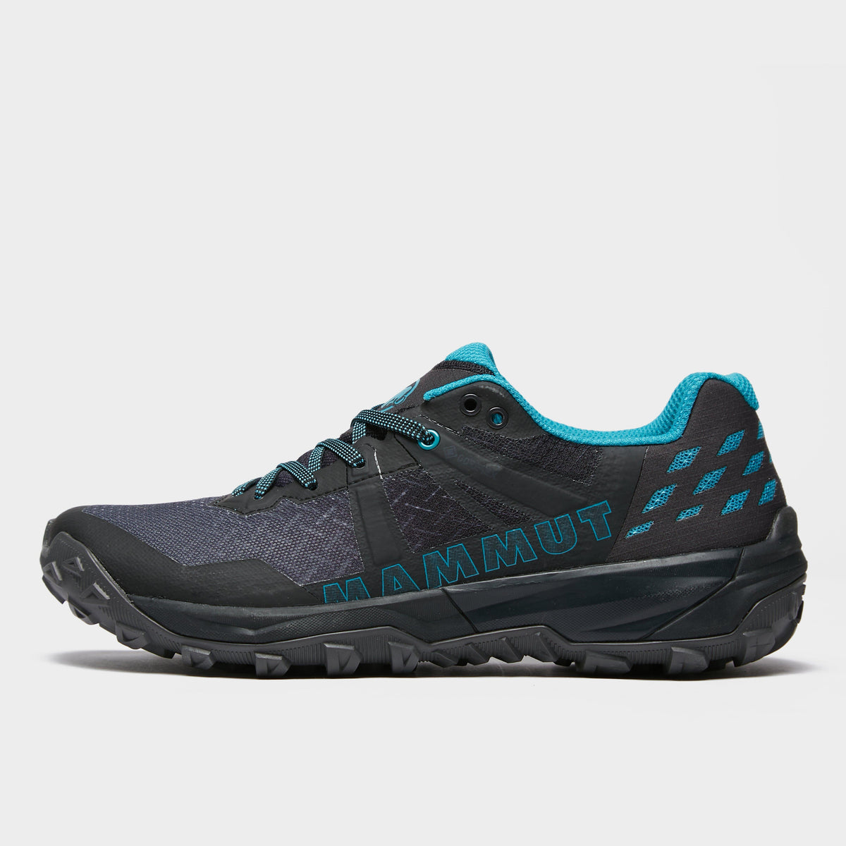 Women's Ensi Low Gore-Tex Walking Shoe