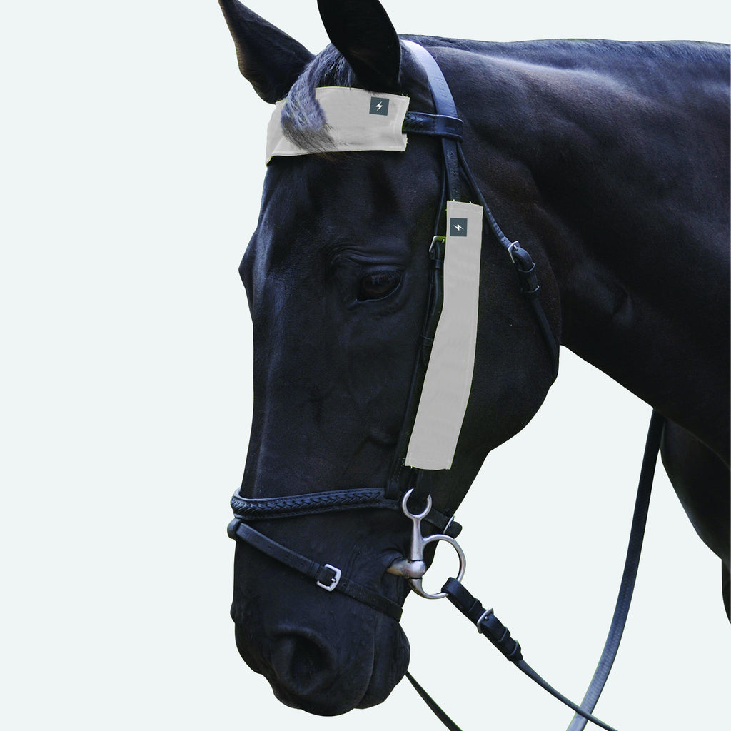VIS Silva Bridle Set