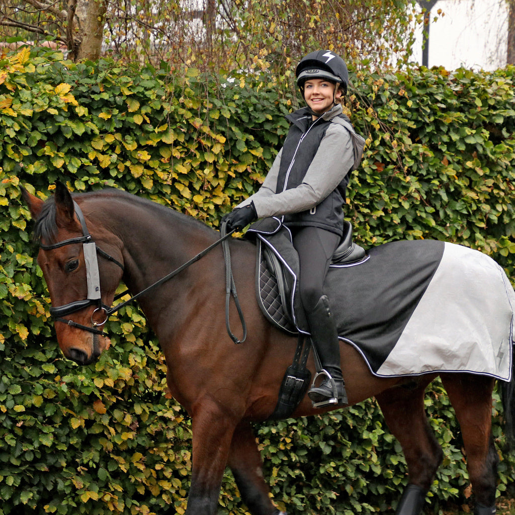 VIS Silva Bridle Set