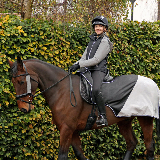 VIS Silva Bridle Set