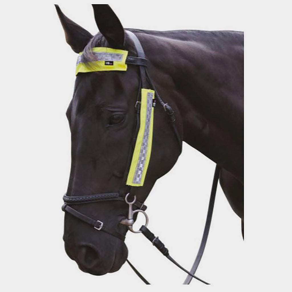 Bridle Set