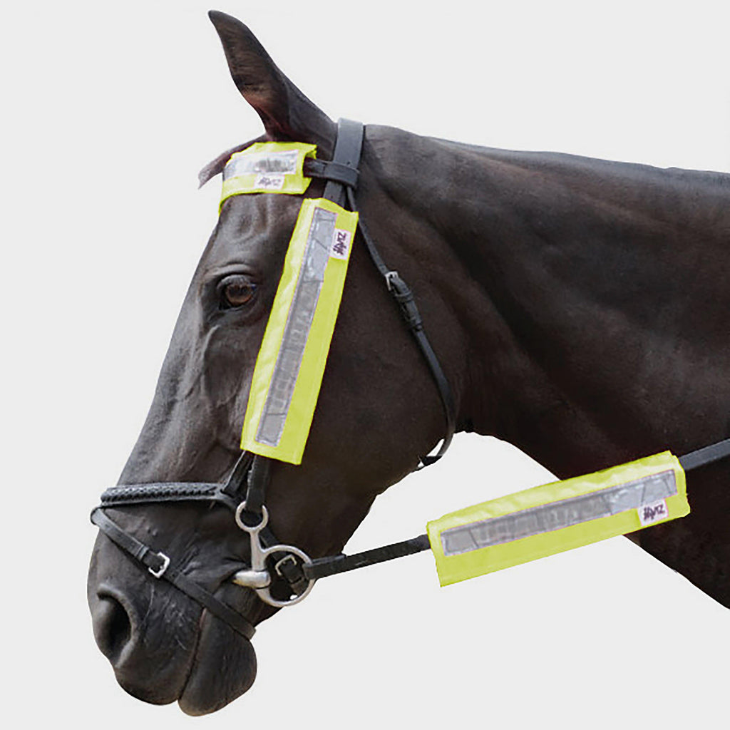 Bridle Set