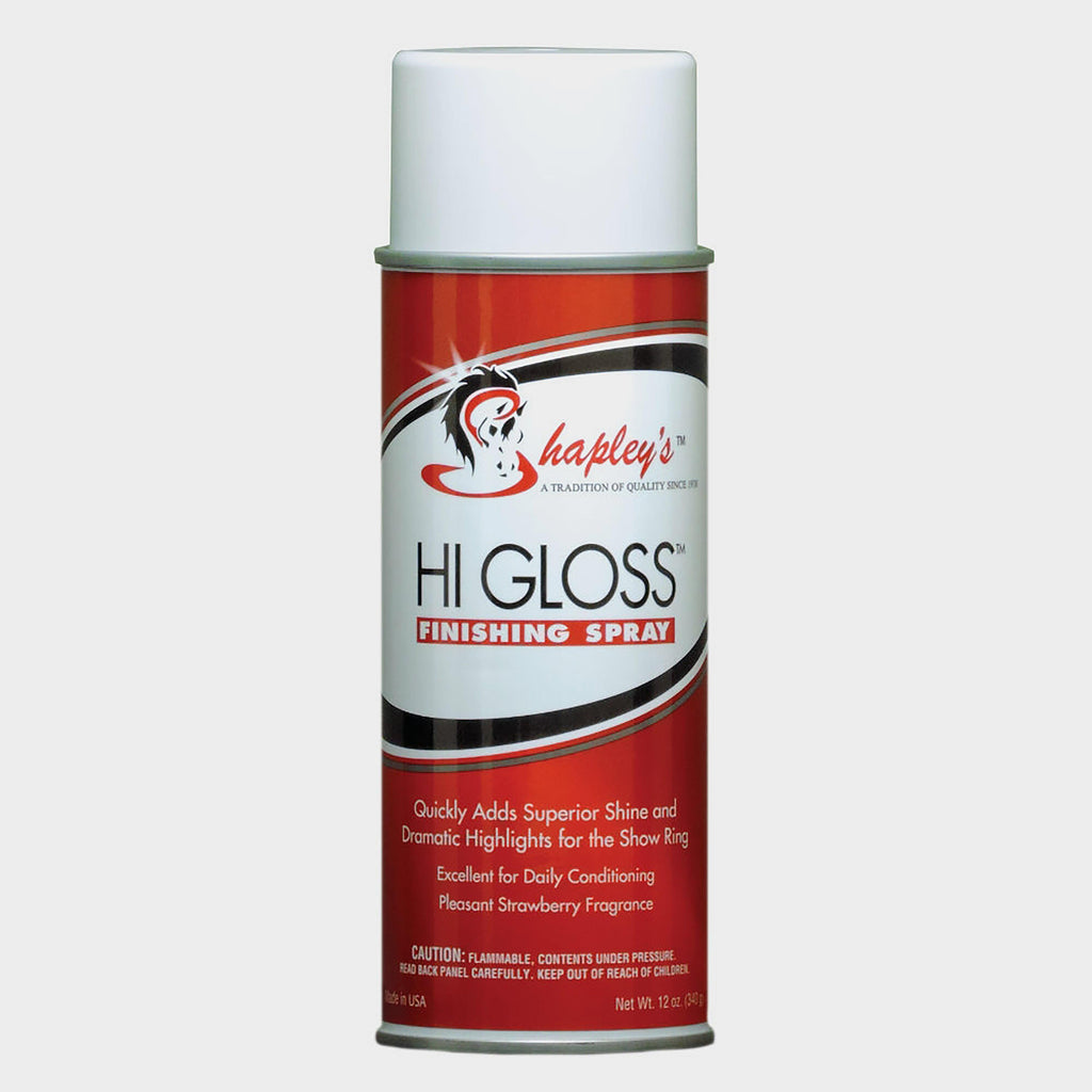 Hi Gloss Finishing Spray 284ml