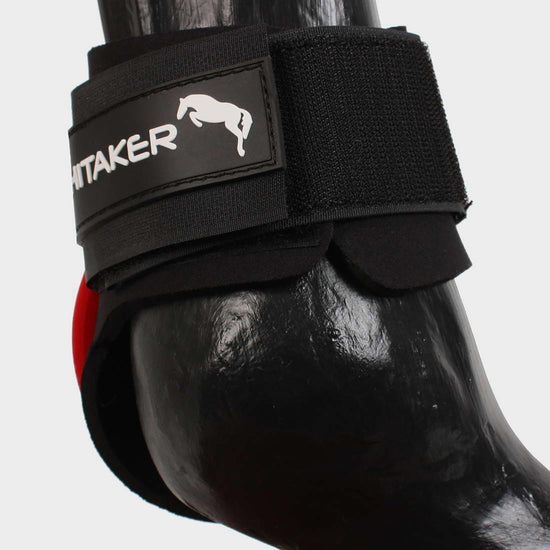 Tendon & Fetlock Boot Set