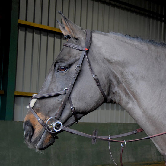 Ready-To-Ride Mexican Bridle