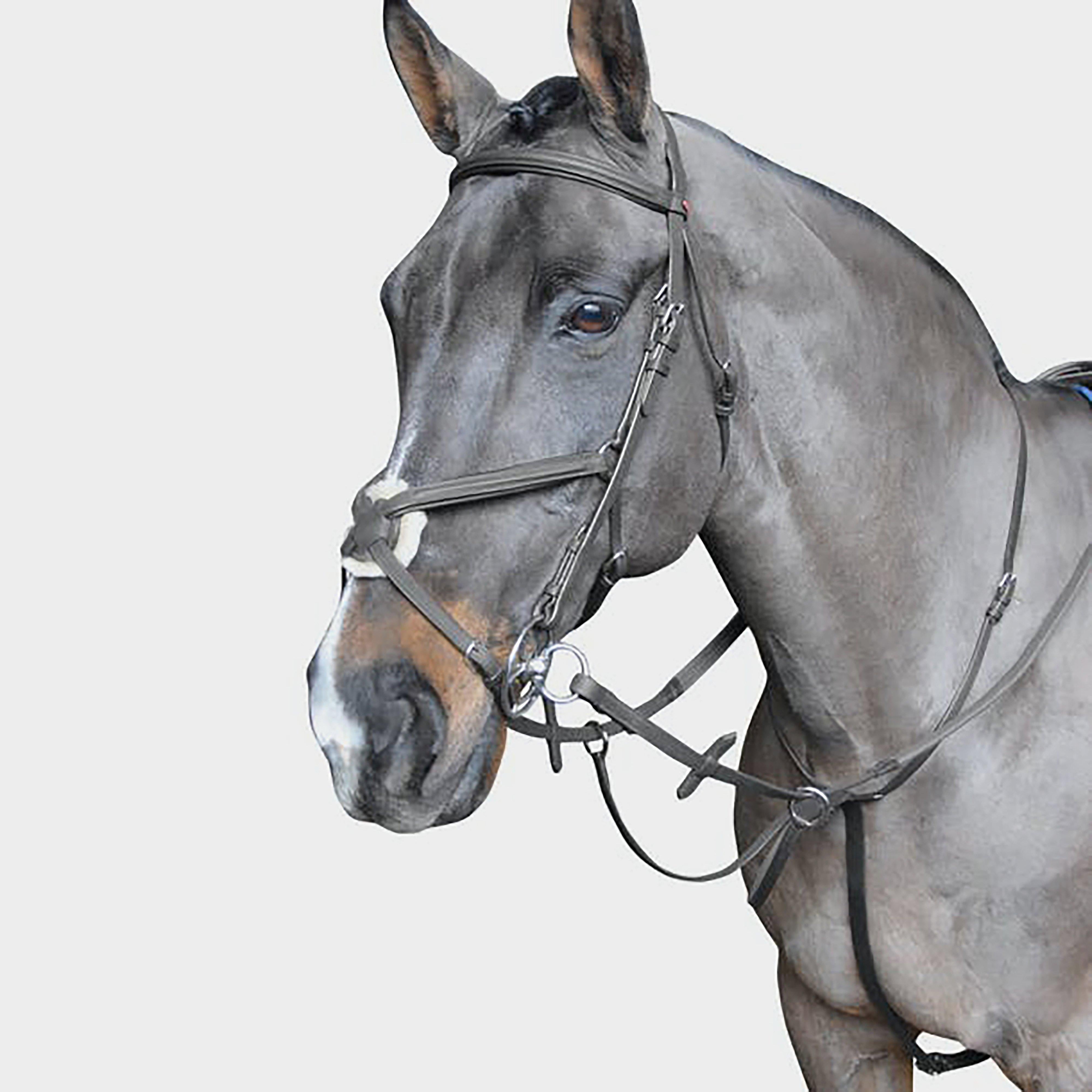 Ready-To-Ride Martingale