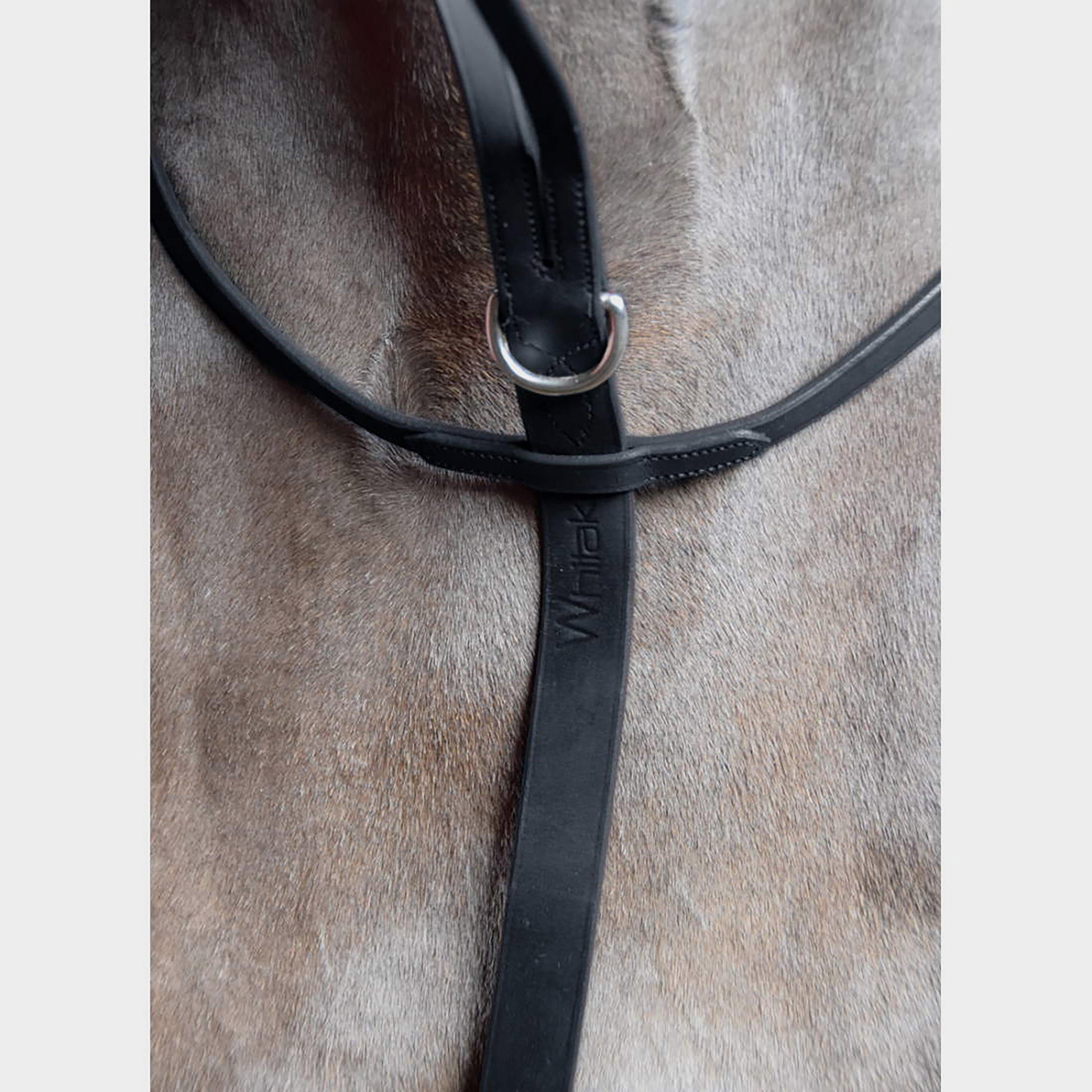Ready-To-Ride Martingale