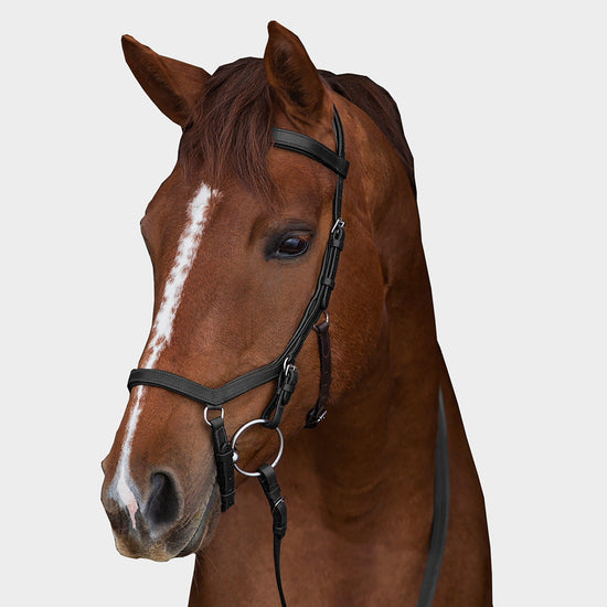 Rambo Micklem Competition Bridle