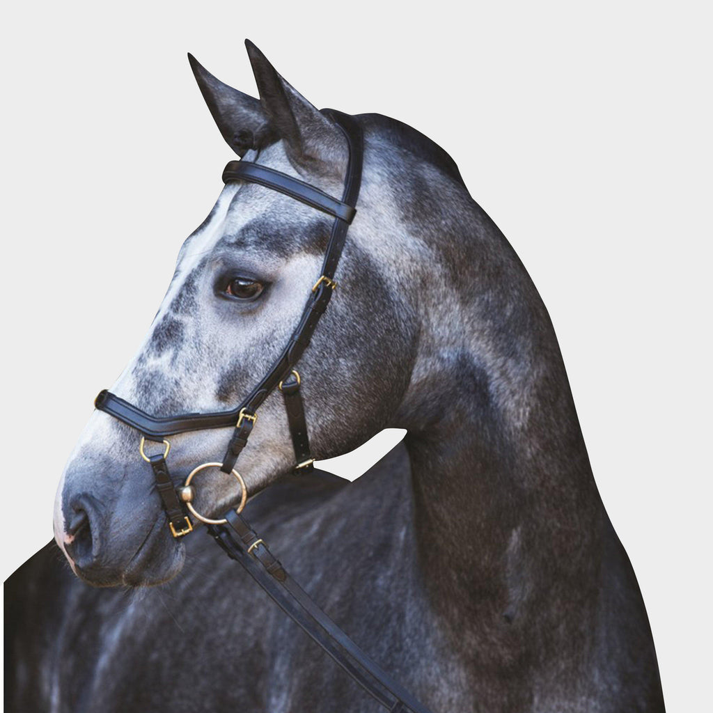 Te koop: Rambo Micklem Multibridle bruin, maat cob Te koop: Rambo Micklem Multibridle bruin, maat cob