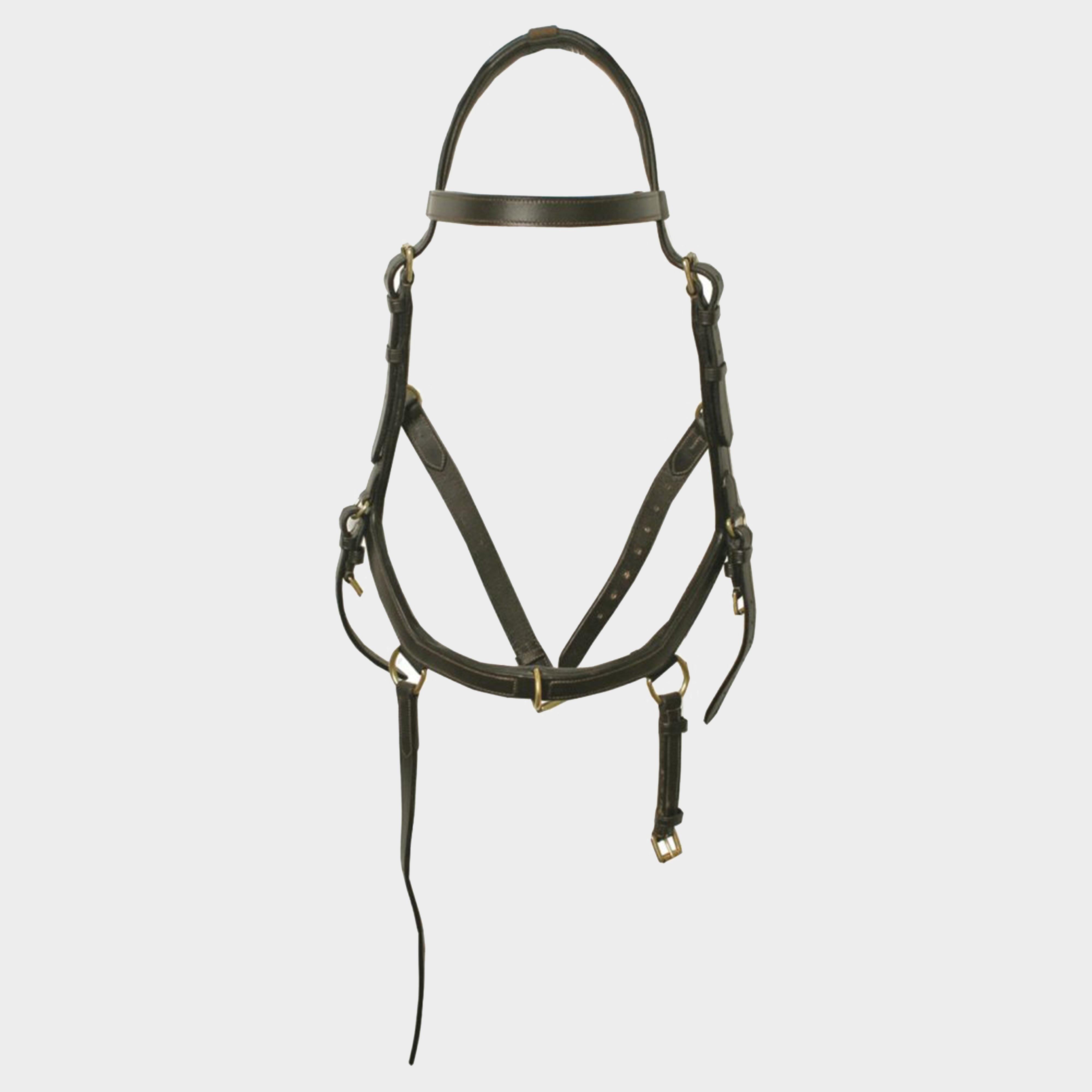 Rambo Micklem Multibridle