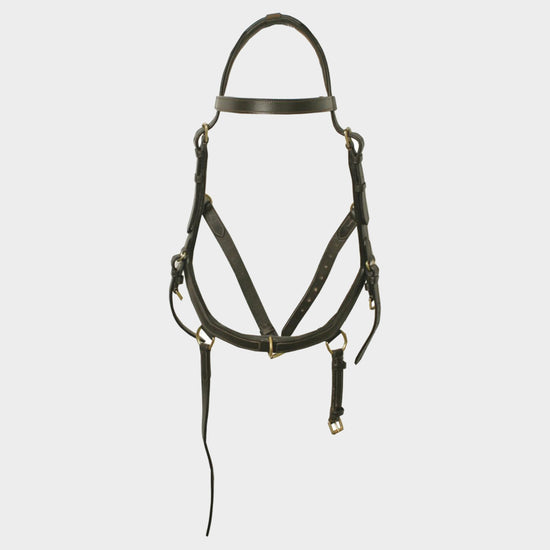 Rambo Micklem Multibridle