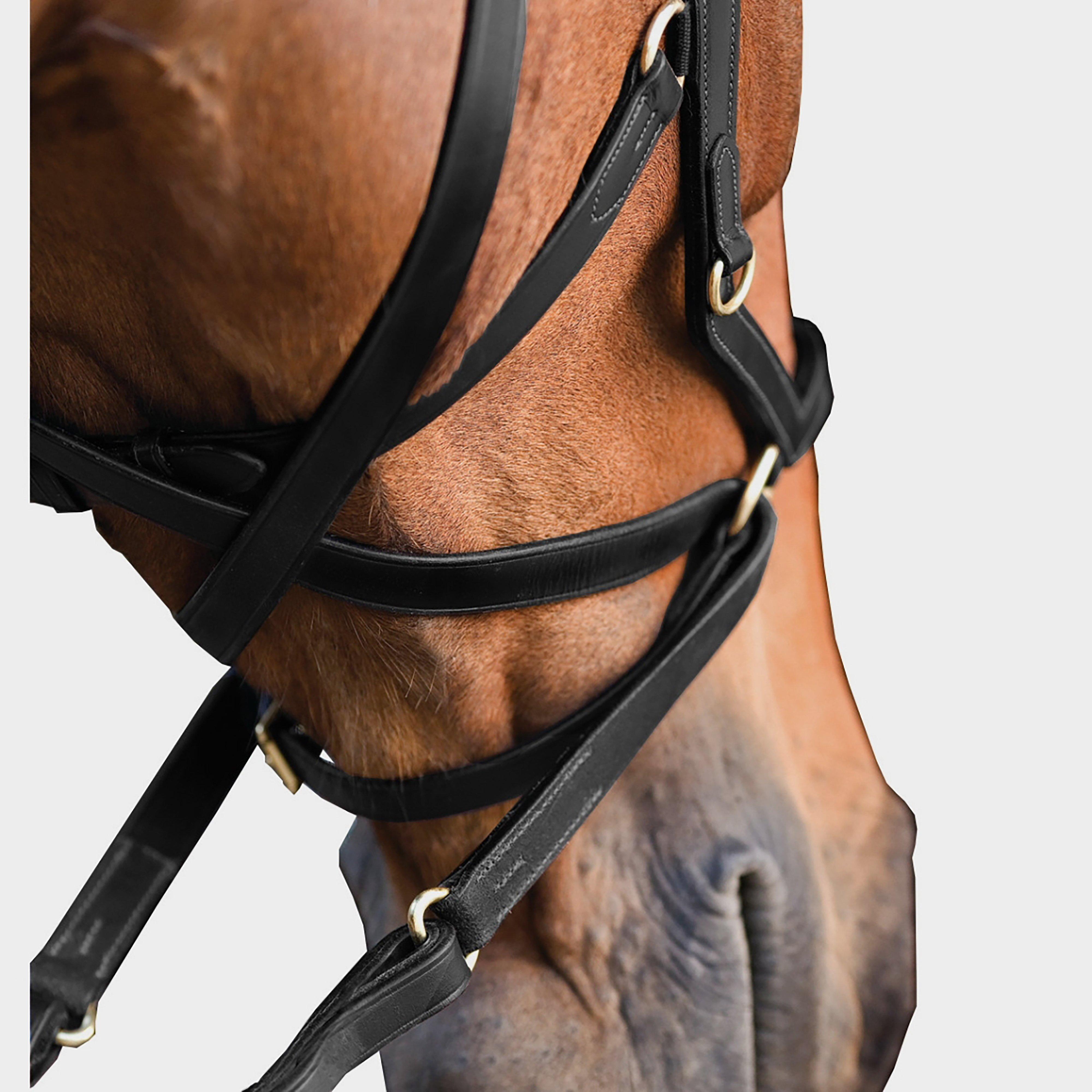 Rambo Micklem Multibridle