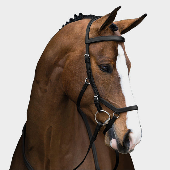 Rambo Micklem Multibridle