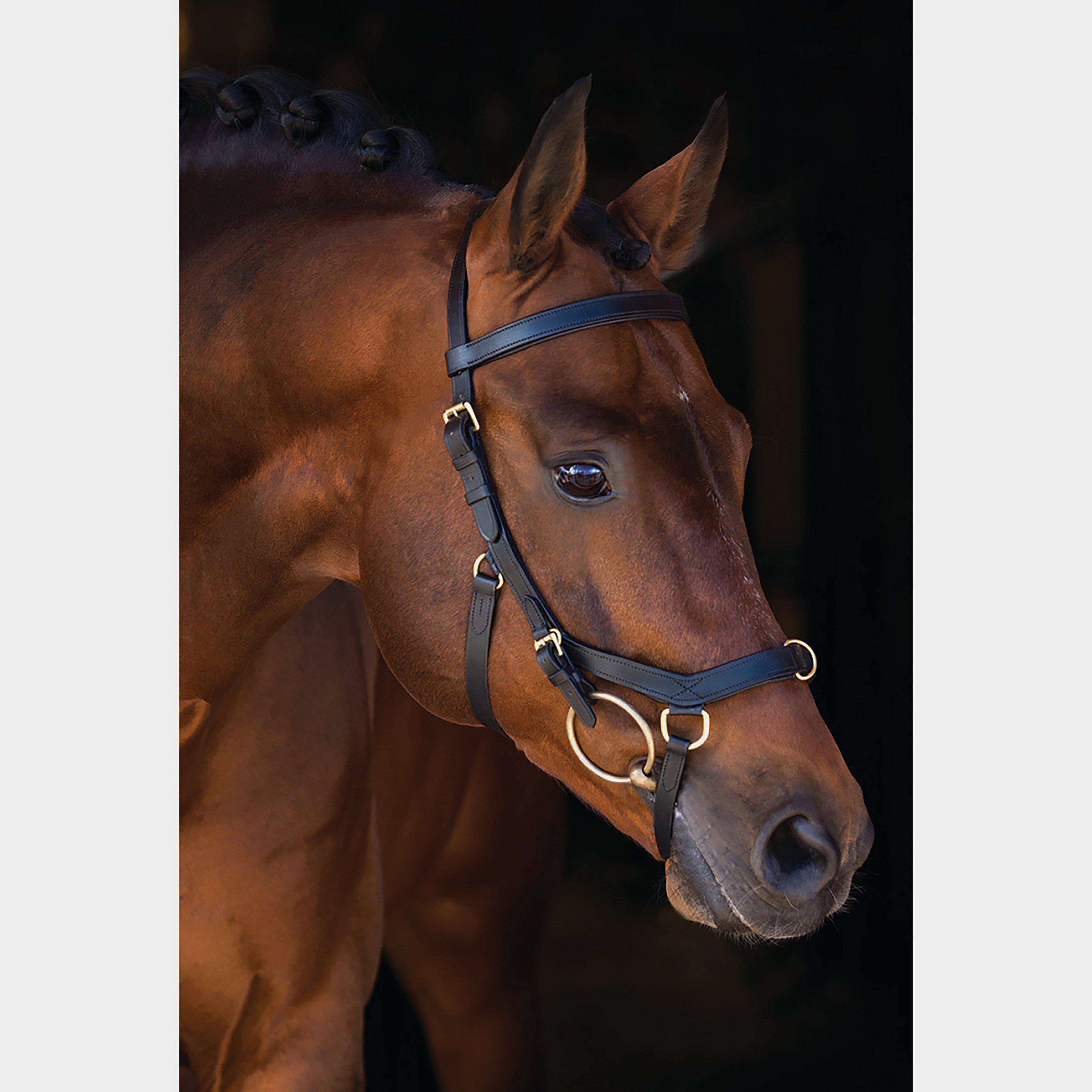 Rambo Micklem Multibridle