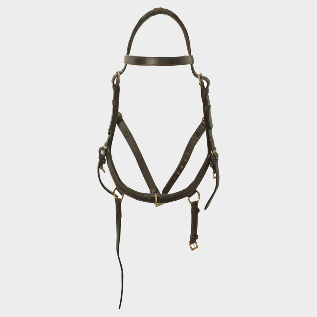 Rambo Micklem Multibridle