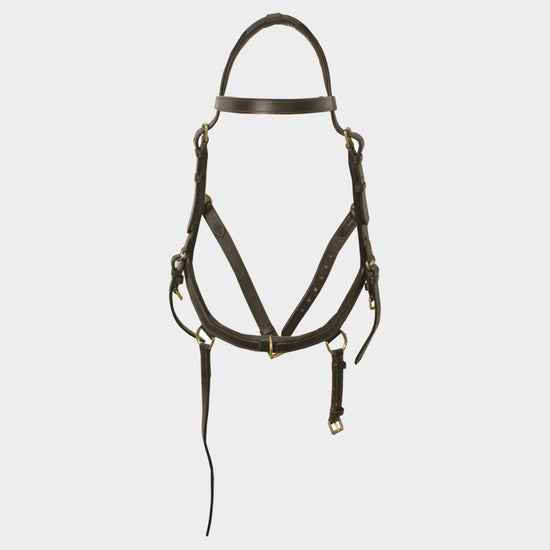 Rambo Micklem Multibridle