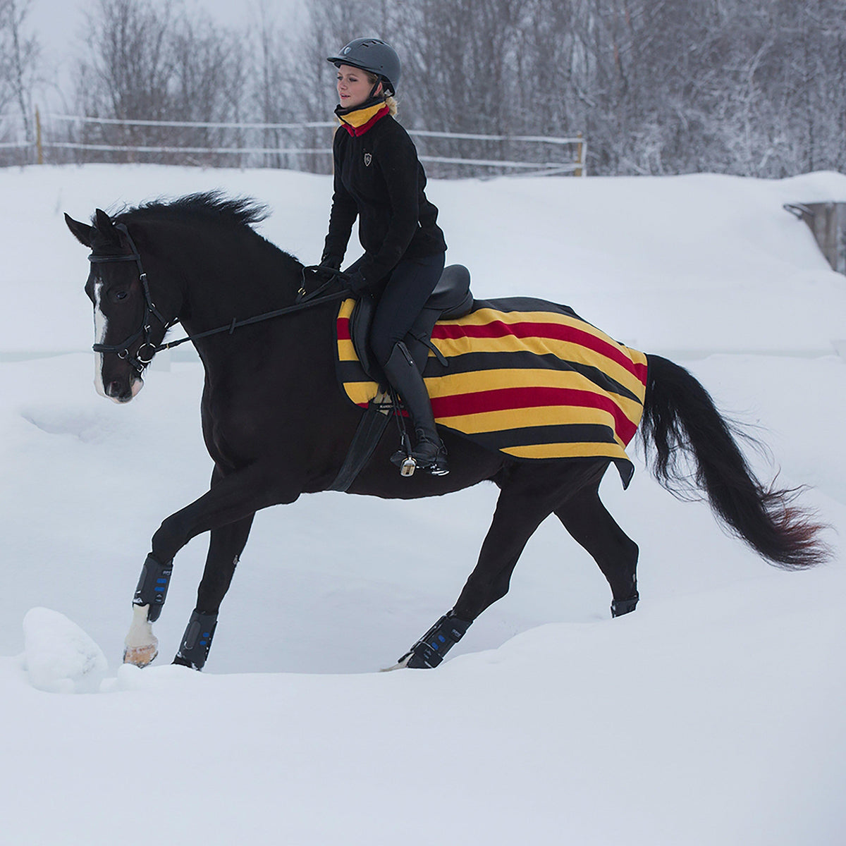 Rambo Newmarket Competition Fleece