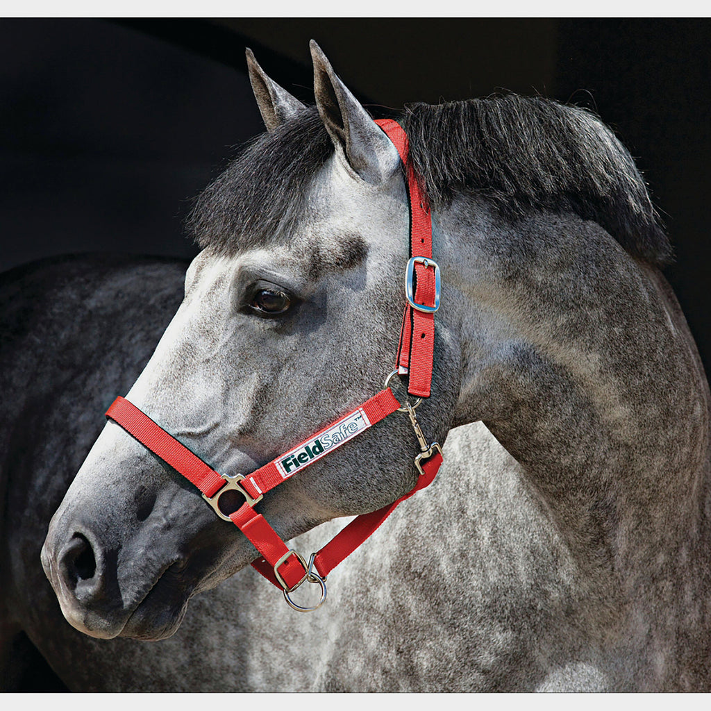 Fieldsafe Headcollar