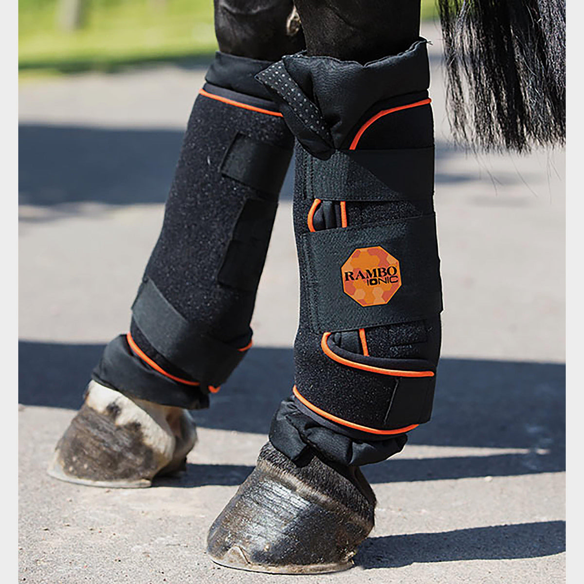 Ionic Stable Boots