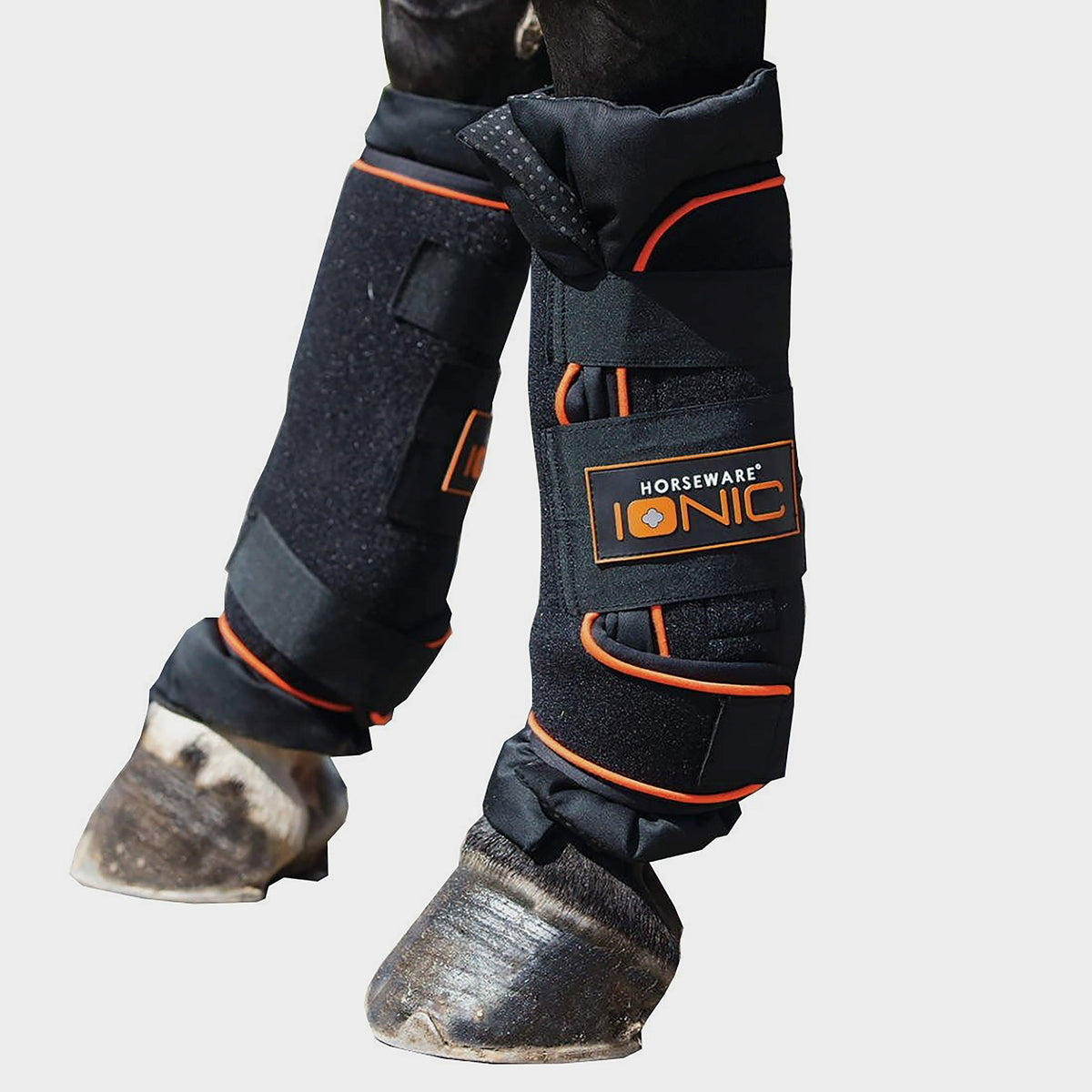Ionic Stable Boots