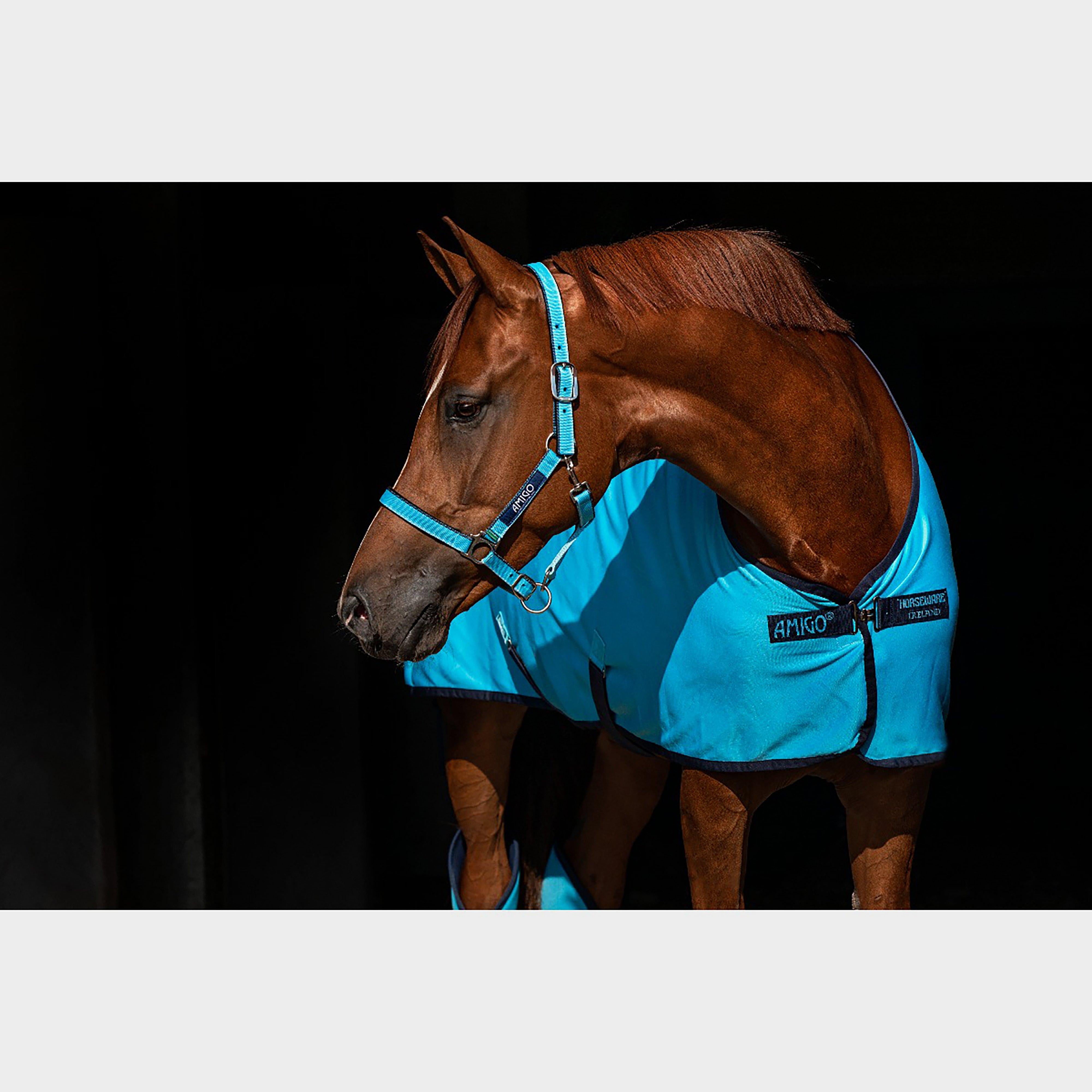 Amigo Jersey Cooler