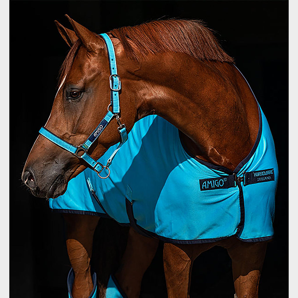 Amigo® Headcollar