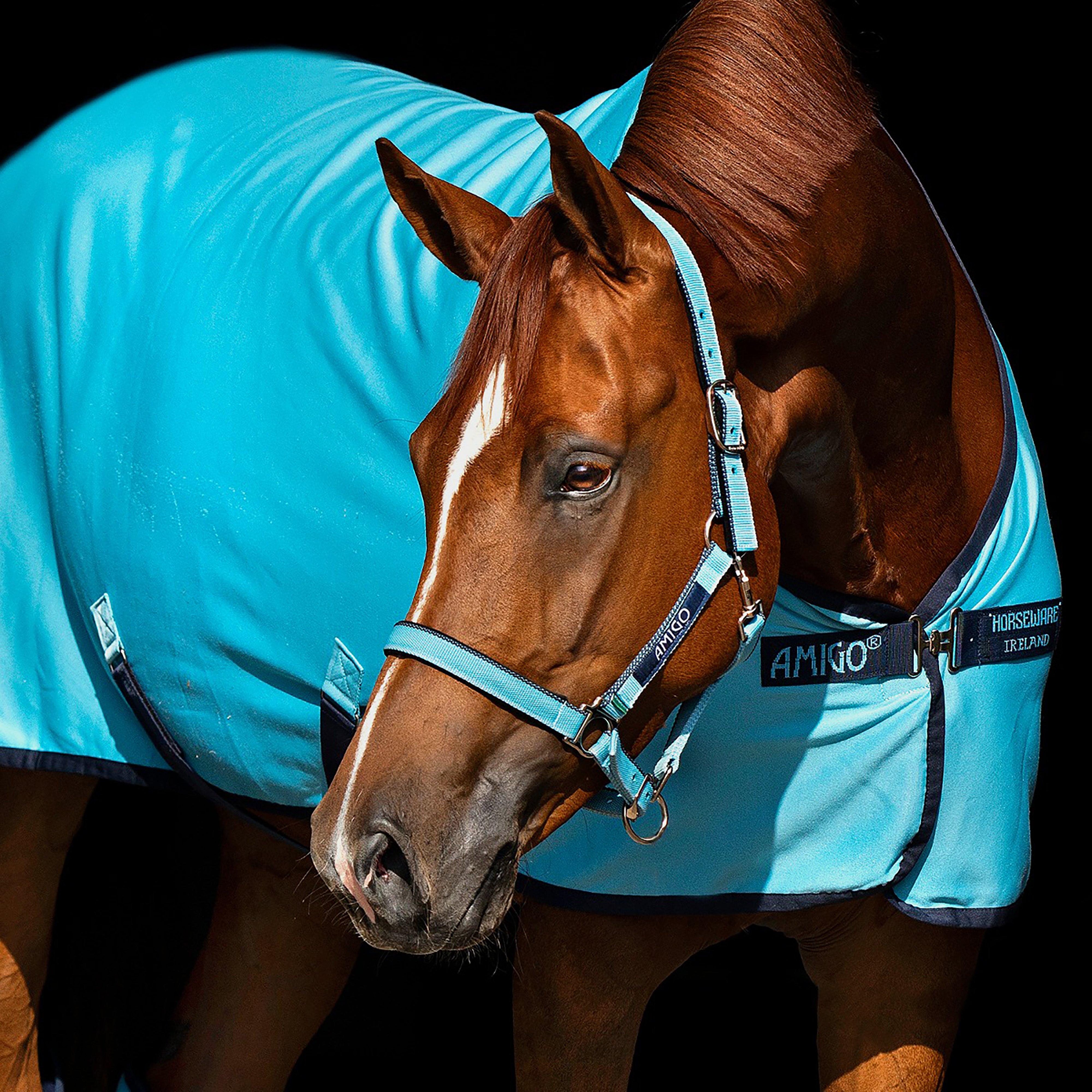 Amigo® Headcollar
