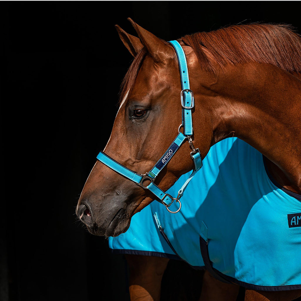 Amigo® Headcollar