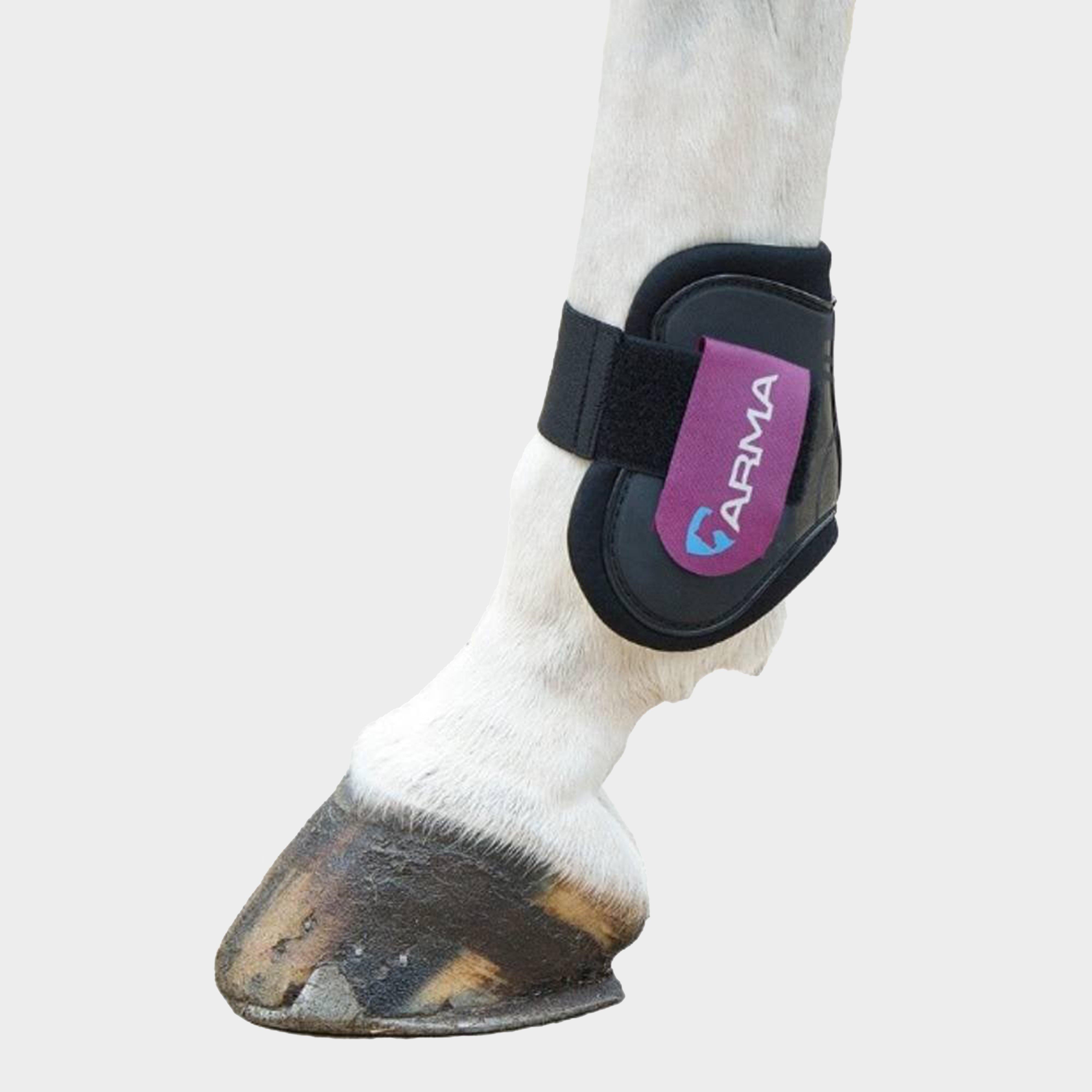 Fetlock Boots Black/Plum