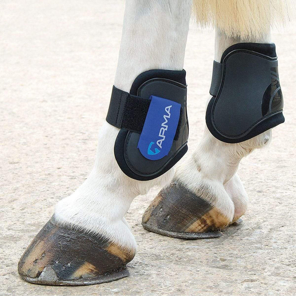 Fetlock Boots Black/Royal Blue