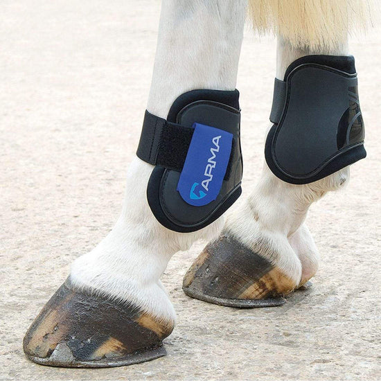 Fetlock Boots Black/Royal Blue