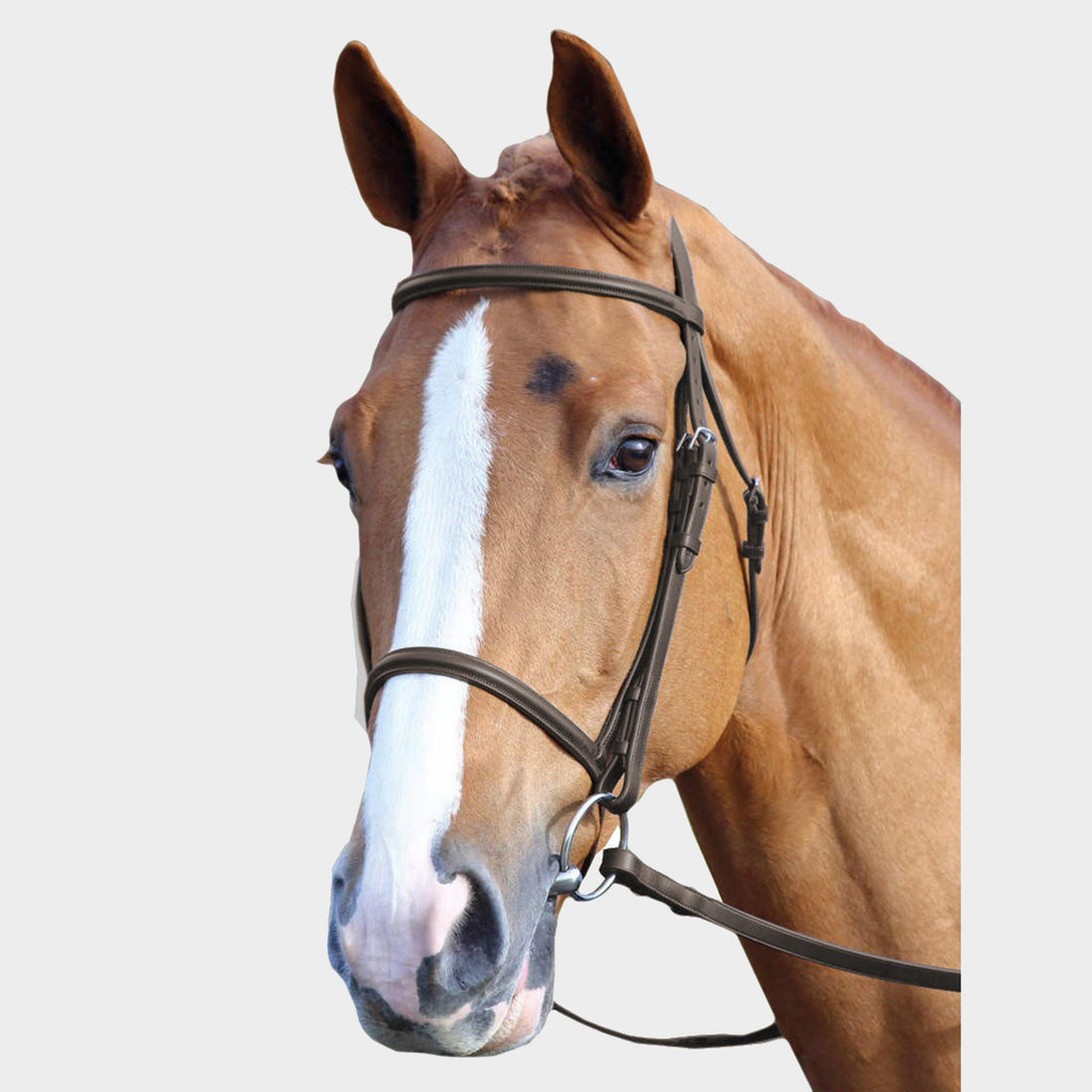 Raised Cavesson Bridle