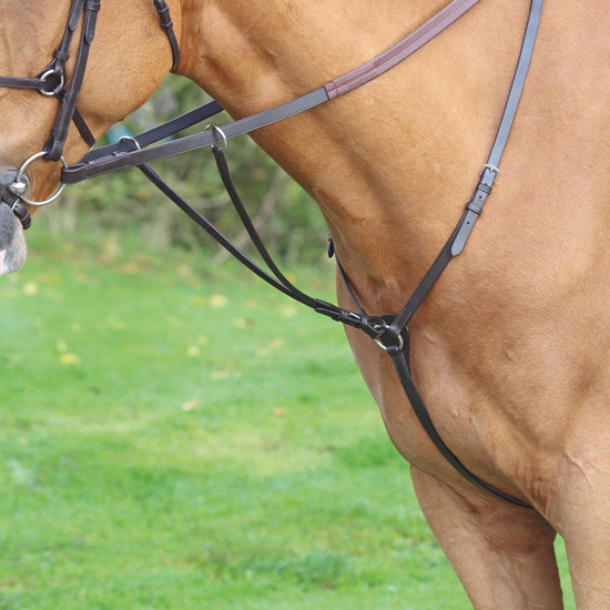 Aviemore Hunt Weight Breastplate