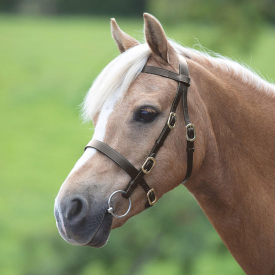 Plain Inhand Bridle