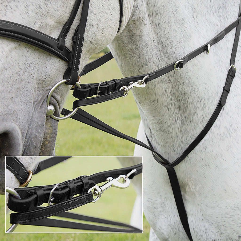 Market Harborough Havana