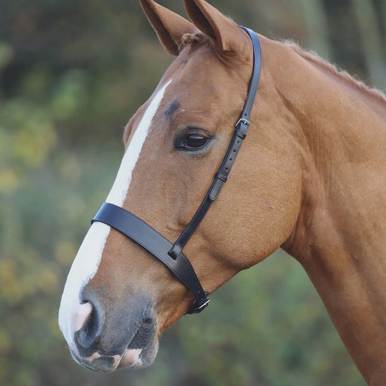 Cavesson Hunt Noseband Black