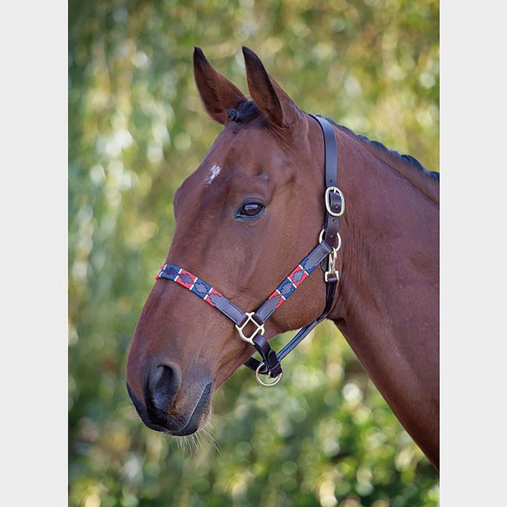 Leather Polo Headcollar