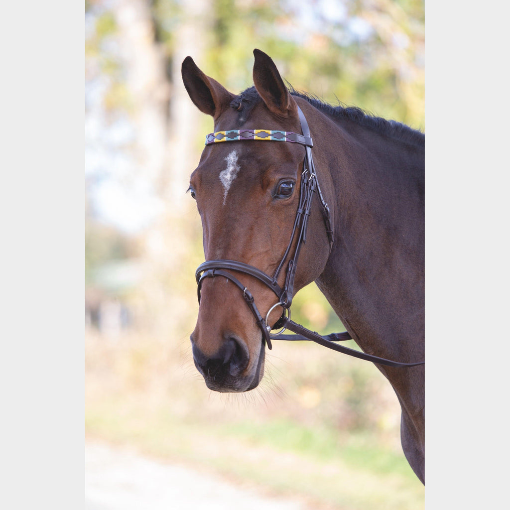Leather Polo Browband